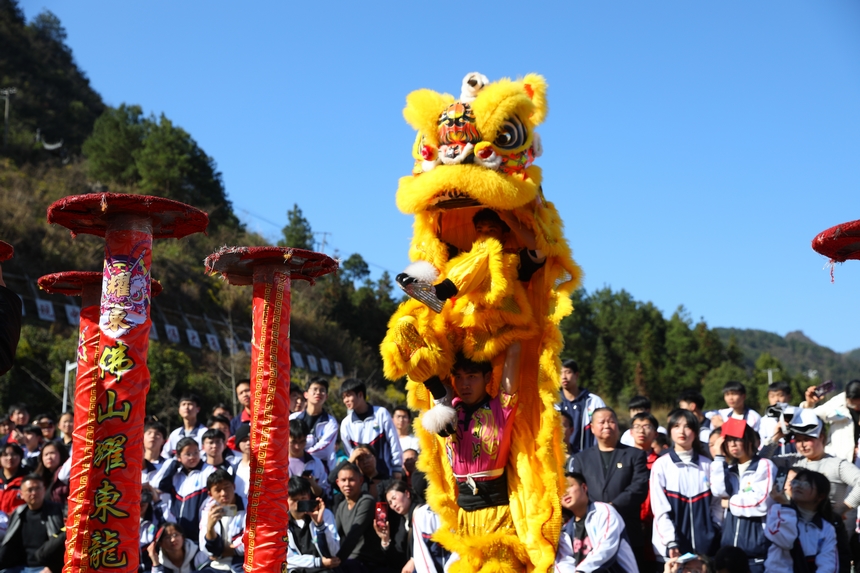 廣東佛山舞獅團隊正在為學生們表演。楊菊梅攝