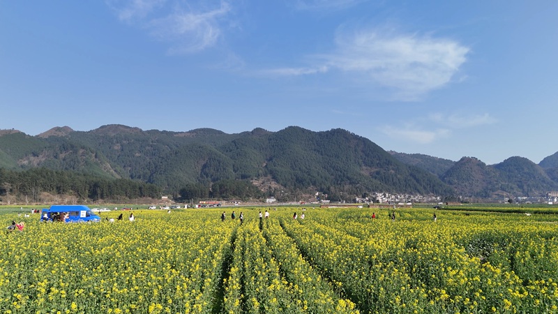 金海雪山。