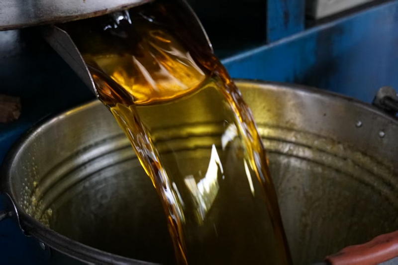 榨油坊剛榨出的小榨油。