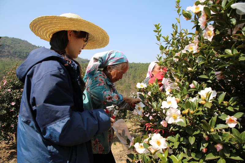 良種管護。