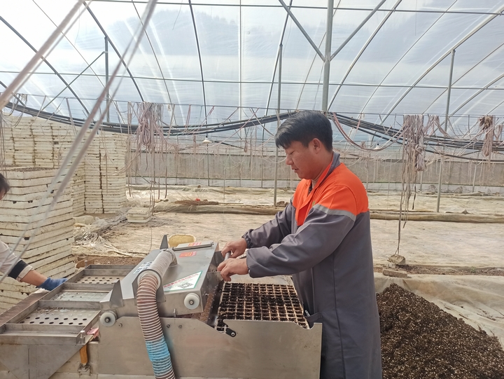 2025年3月2日，赫章正豐農業有限公司蔬菜大棚育苗忙，江雪攝.jpg （2）.jpg