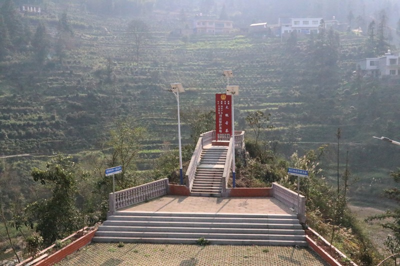 太極古茶生態環境、知識產權、司法保護基地。