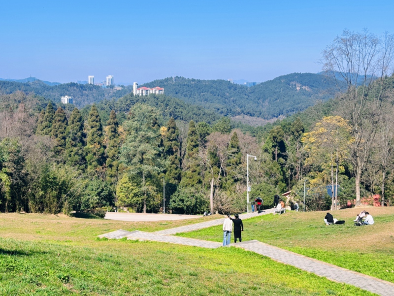 春日尋芳，花漾南明。