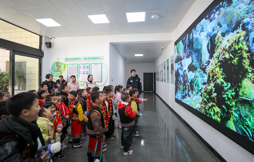 2025年3月19日，小朋友在貴州梵凈山國家級自然保護區黔金絲猴研究中心參加自然教育活動。