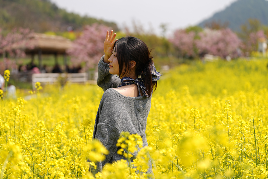 游客在永樂花海拍照打卡。 王平亮攝
