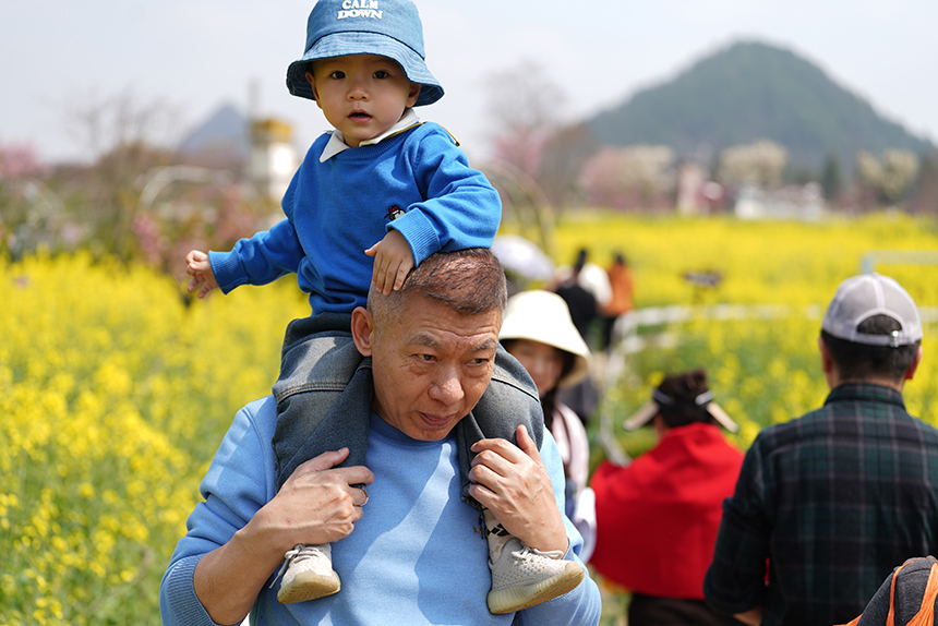 永樂花海親子出游。 王平亮攝