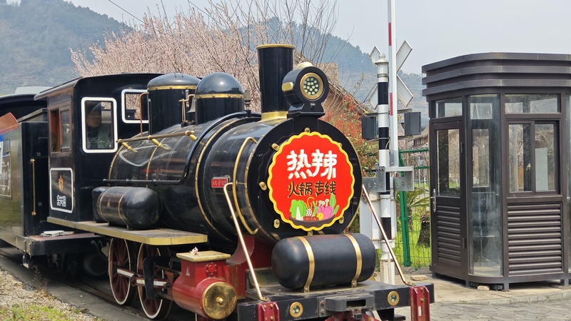 修文桃源河景區“熱辣火鍋專線”解鎖沉浸式賞花新體驗。趙益梅攝