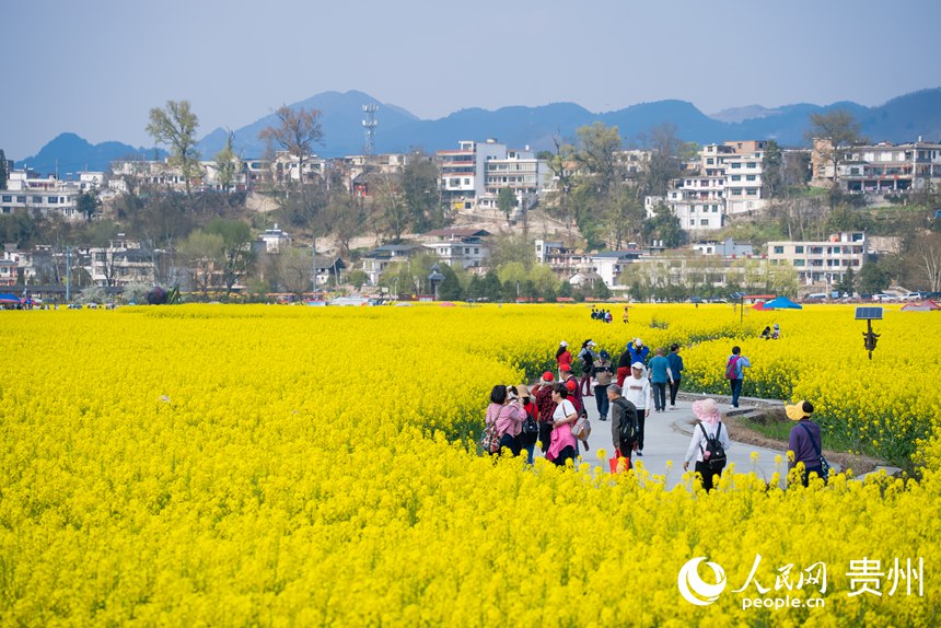 游客在油菜花田中賞花拍照。人民網記者 涂敏攝