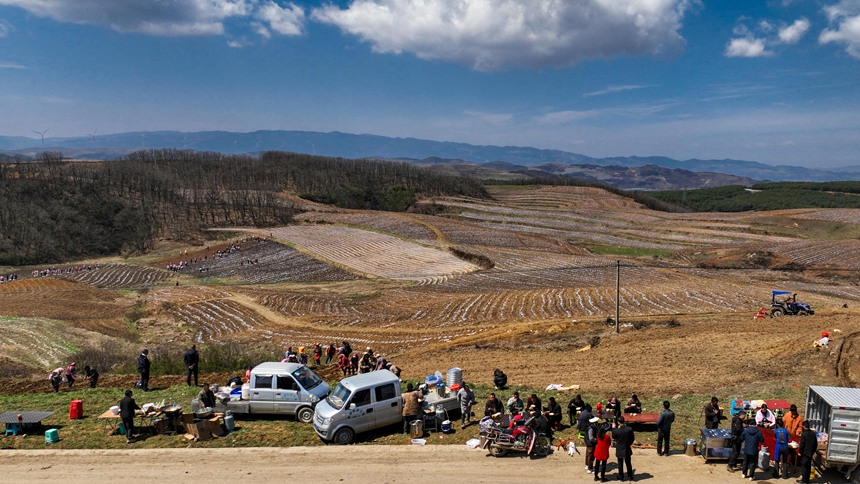 務工群眾在威寧自治縣雪山鎮大發村畫眉梁子馬鈴薯種植基地吃午餐。