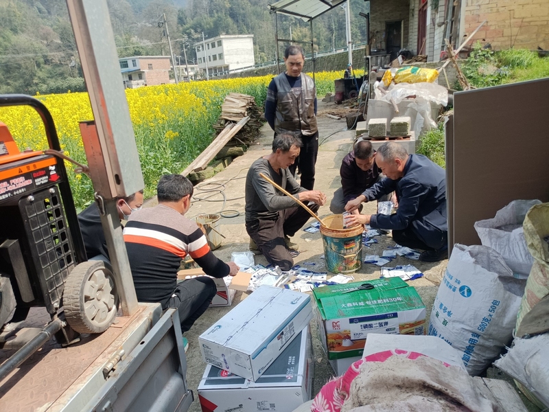 修文縣小箐鎮：無人機“飛防”顯身手 助力油菜穩產增收。