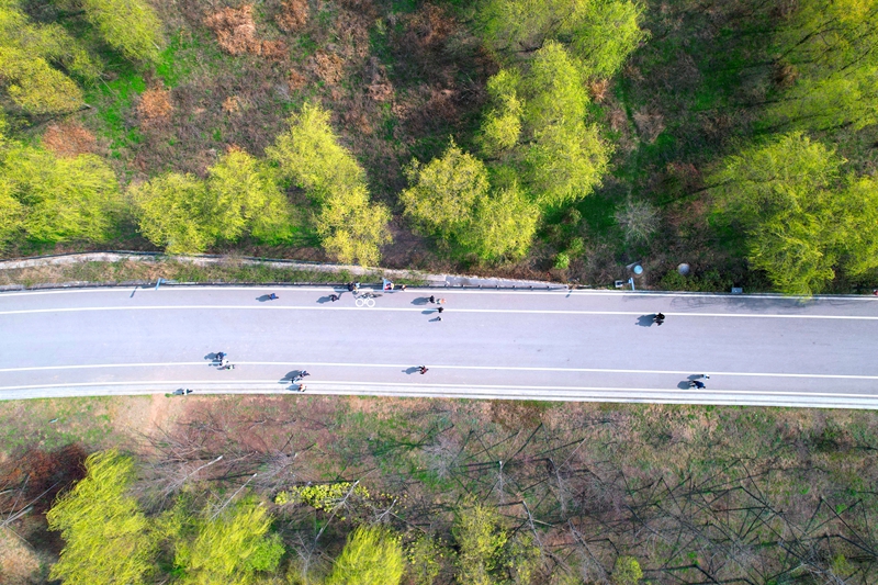 《生態公園春意濃》。王近松攝