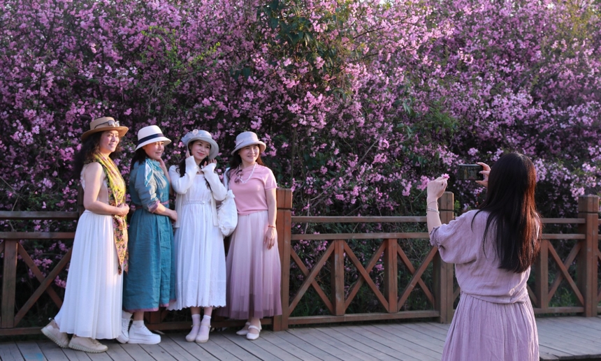 前來打卡的游客。