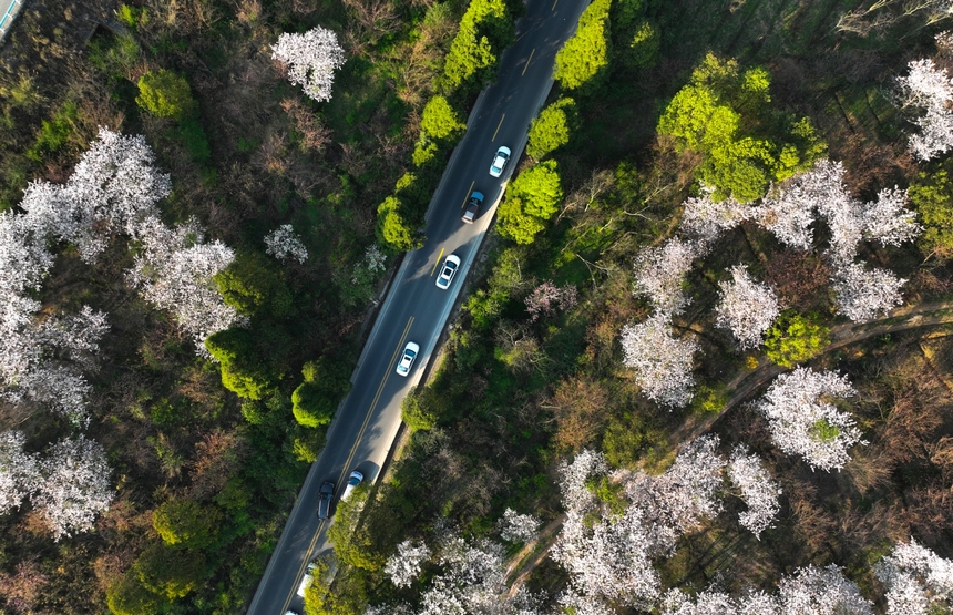 貴陽清鎮市紅楓湖畔。