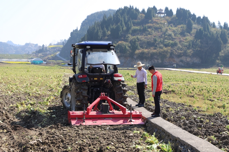 春耕現場。