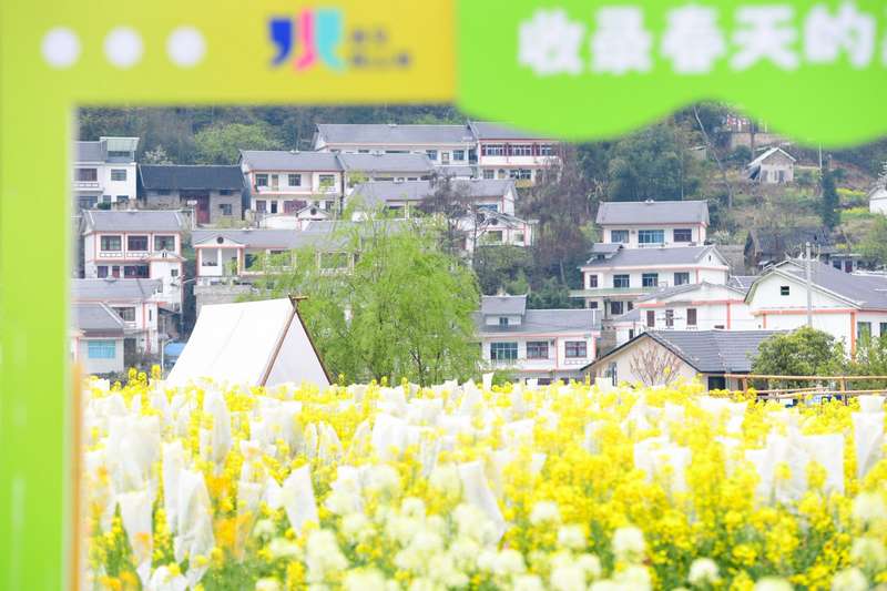 觀山湖區百花湖鎮下麥城村。