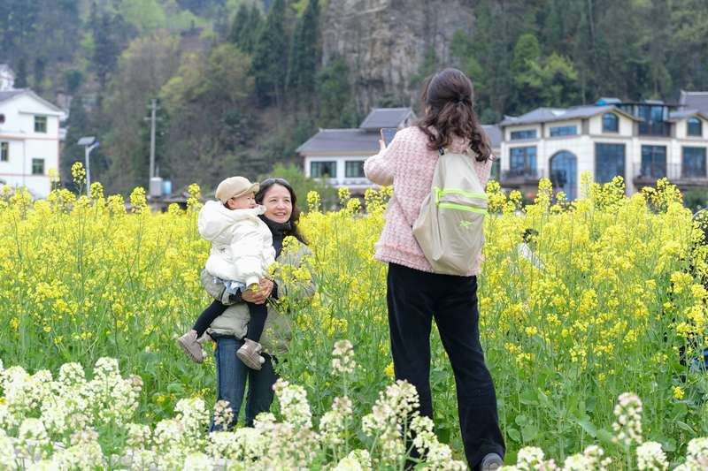 游客在花田中拍照打卡。