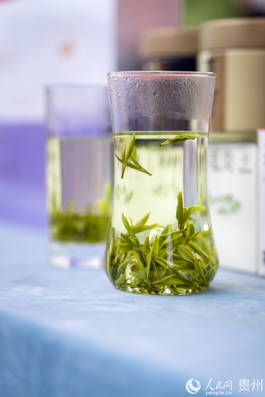 活動現場展示的新茶。人民網記者 涂敏攝