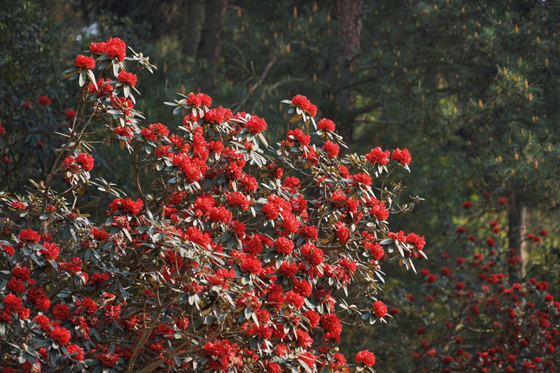 活動現場。