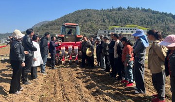 農技培訓進田間 產業發展添活力近年來，桐梓扎實推進農業技術培訓工作，充分發揮資源優勢、技術優勢、理念優勢，為農業發展注入活力。