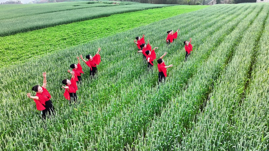 2025年4月9日，貴州省納雍縣百興鎮萬畝麥田旗袍走秀。