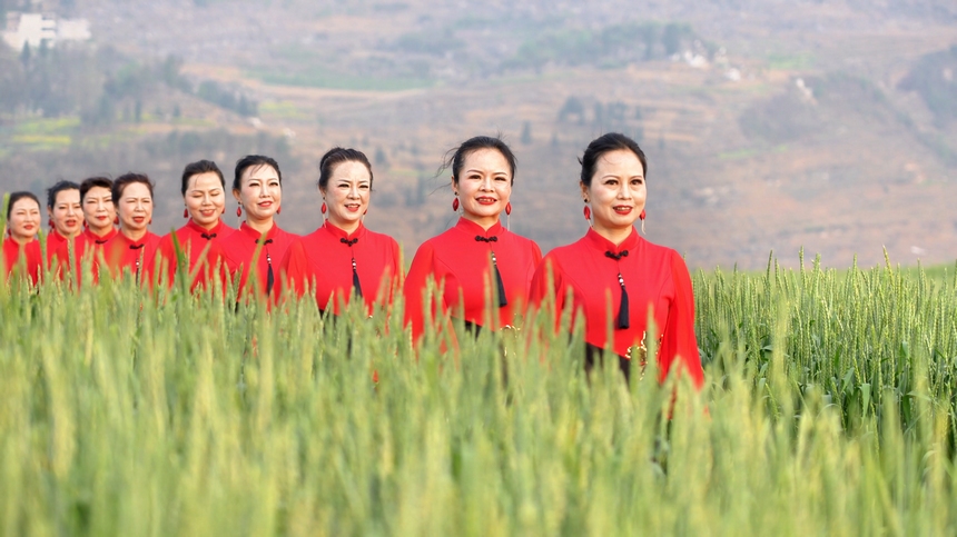 2025年4月9日，貴州省納雍縣百興鎮萬畝麥田旗袍走秀。