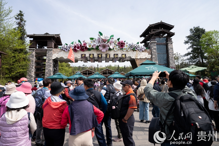 游客正排隊進入景區觀賞盛開的杜鵑花。人民網記者 涂敏攝