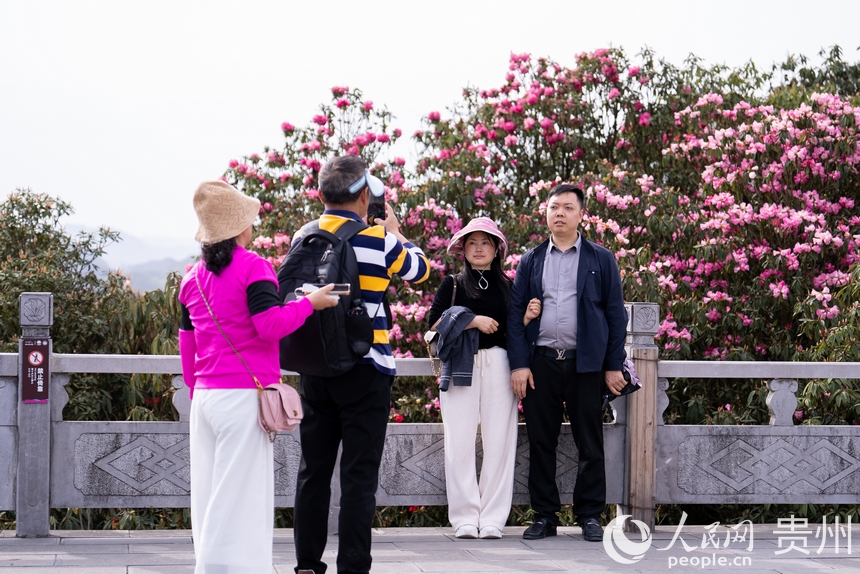 前來賞花的游客在盛開的杜鵑花前打卡拍照。人民網記者 涂敏攝