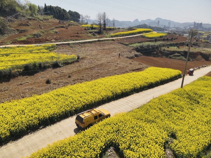 電力設備巡維。