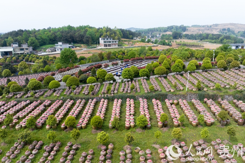 航拍金沙縣泡木灣醬香醋業園醋胚露酵區。人民網記者 涂敏攝