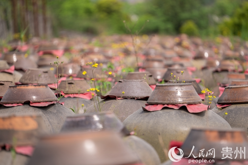 園區內正在發酵的醬香醋胚。人民網記者 涂敏攝