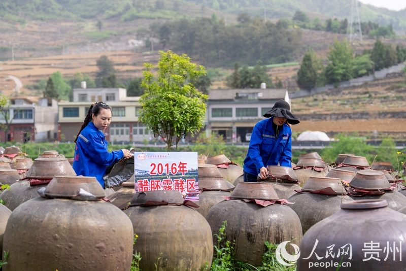 工作人員正在檢查醋胚的成色及發酵情況。人民網記者 涂敏攝