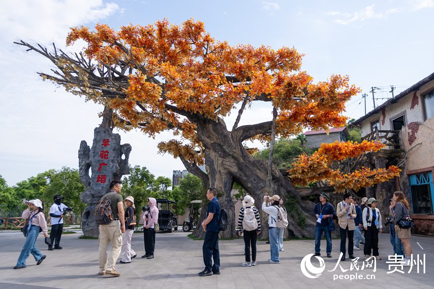游客在景區內游覽。人民網記者 涂敏攝