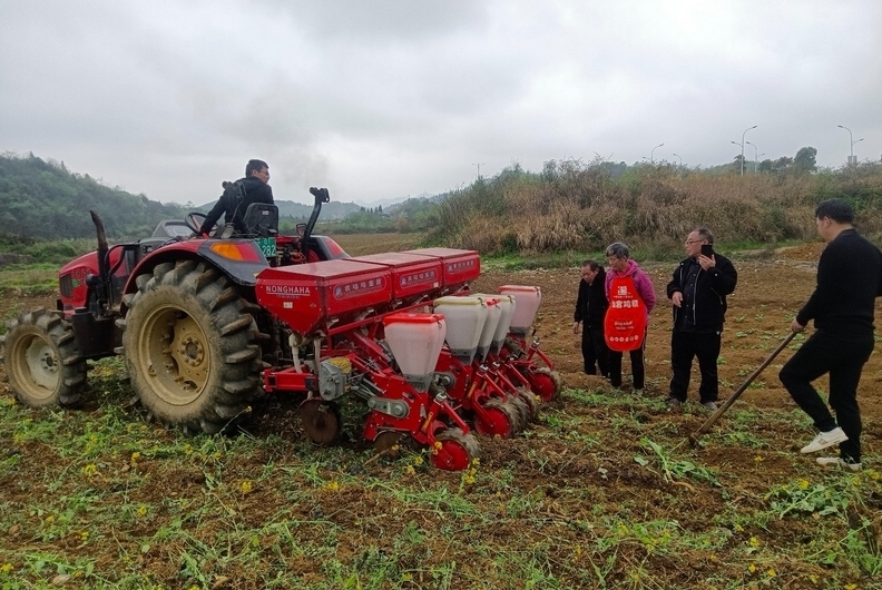修文縣2025年推廣玉米大豆帶狀復合種植10000畝眼下正值播種的農忙季節，這兩天，修文縣各鄉（鎮、街道）正同步推進玉米大豆帶狀復合種植，進一步提高土地利用率，促進農業增產、增效、增收。