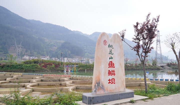 5 河道整治建成的“魚鱗壩”.jpg