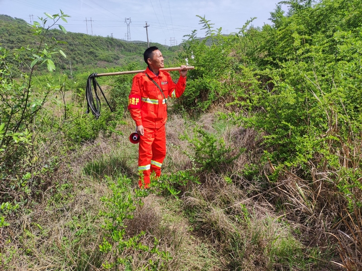 馮再華正在巡林。王蕓 攝.jpg