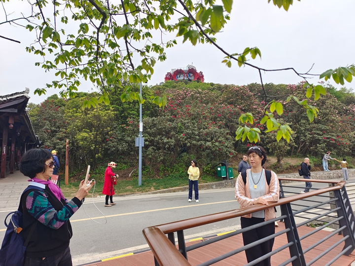 普底景區數花峰。