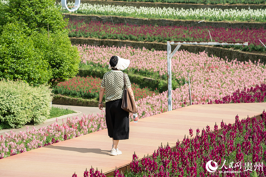 游客在花海中游玩。人民網 陽茜攝