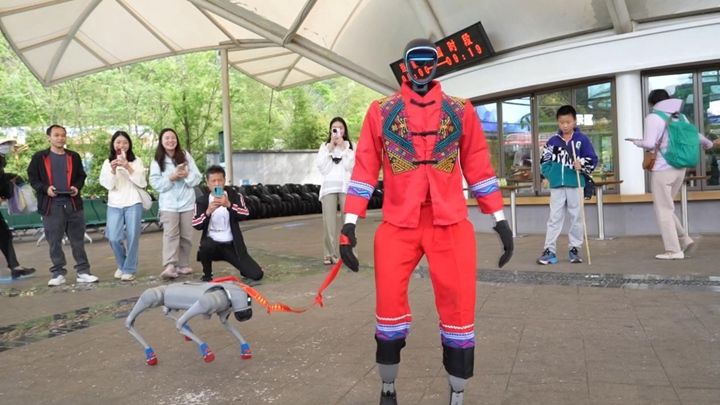 機器狗和機器人表演。