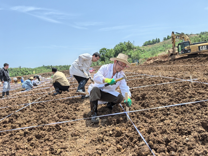 礦山生態修復團隊在成黔礦產公司213礦場開展“礦山生態修復土壤改良技術示范點”項目。