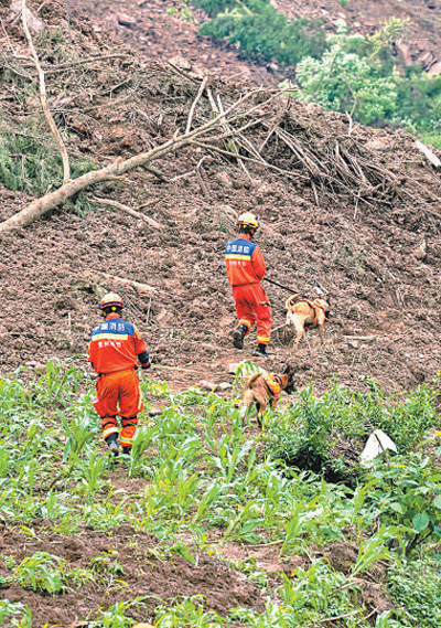 5月23日，慶陽村山體滑坡現場，消防救援人員帶著搜救犬進行搜救。涂 敏 陽 茜攝影報道