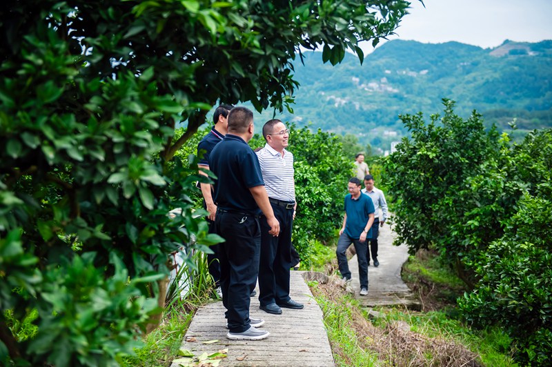 實地調研產業發展情況。