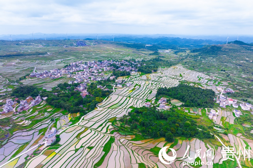 航拍貴陽市花溪區高坡苗族鄉梯田。人民網記者 涂敏攝
