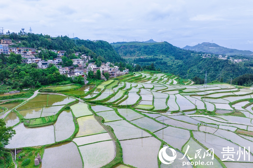 航拍貴陽市花溪區高坡苗族鄉梯田。人民網記者 涂敏攝