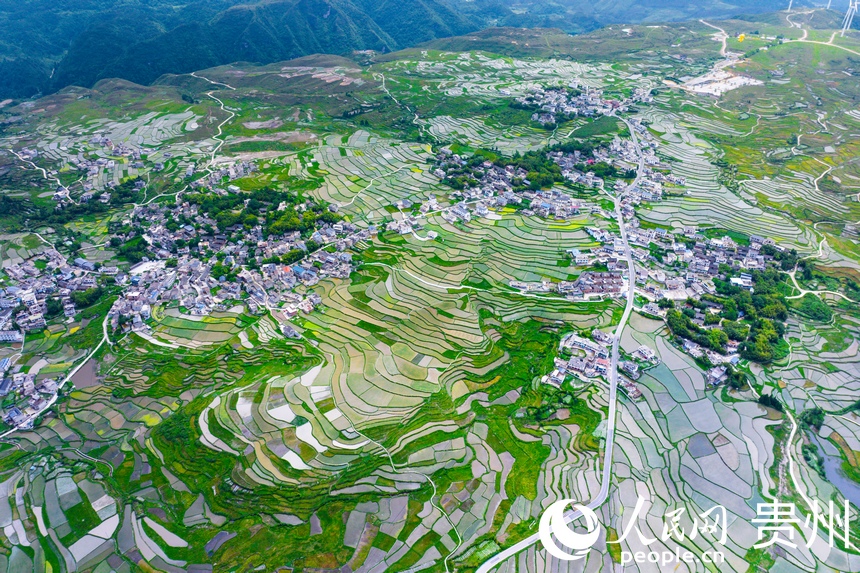 航拍貴陽市花溪區高坡苗族鄉梯田。人民網記者 涂敏攝