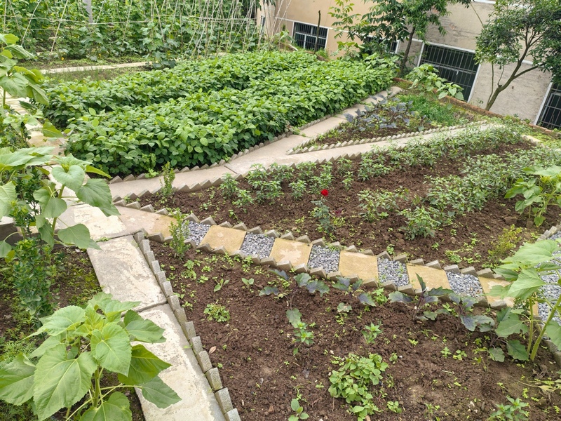 修文縣幸福村：擦亮“幸福旅居”名片 鄉村振興蹄疾步穩.