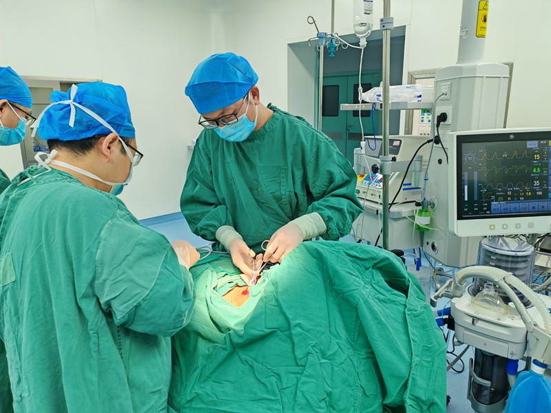 幫扶專家做手術。