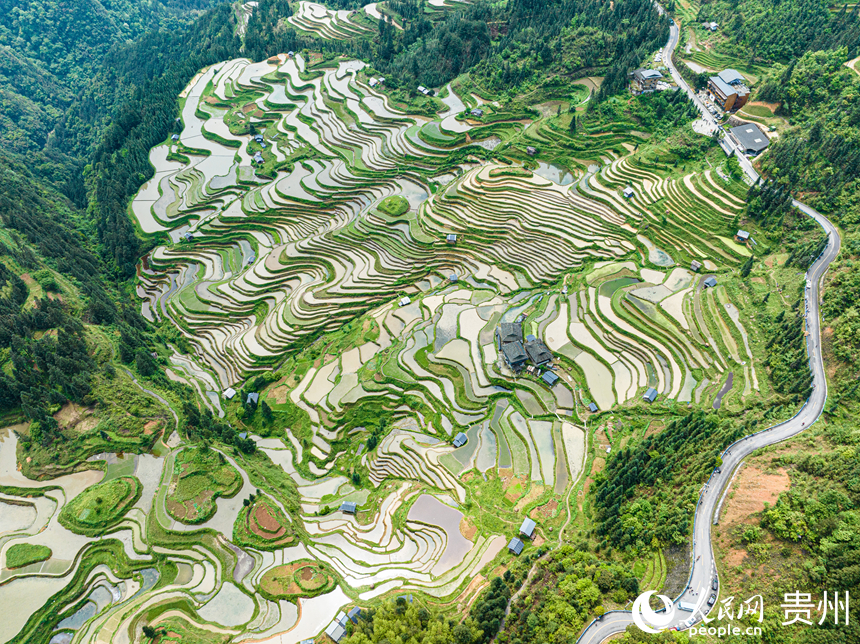 加榜梯田。人民網 陽茜攝