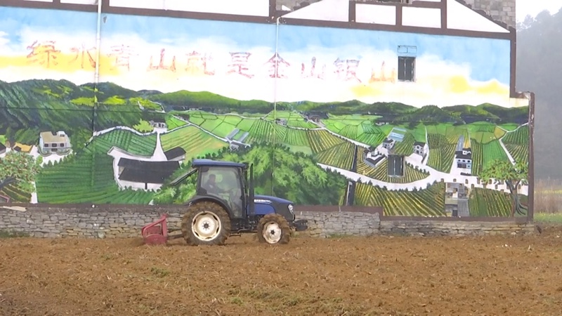 在金沙縣柳塘鎮淹壩村，農機正在田間地頭來回穿梭翻犁土地。吳艷禹攝