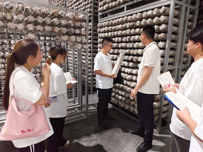 課堂走出教室、專業對接一線。