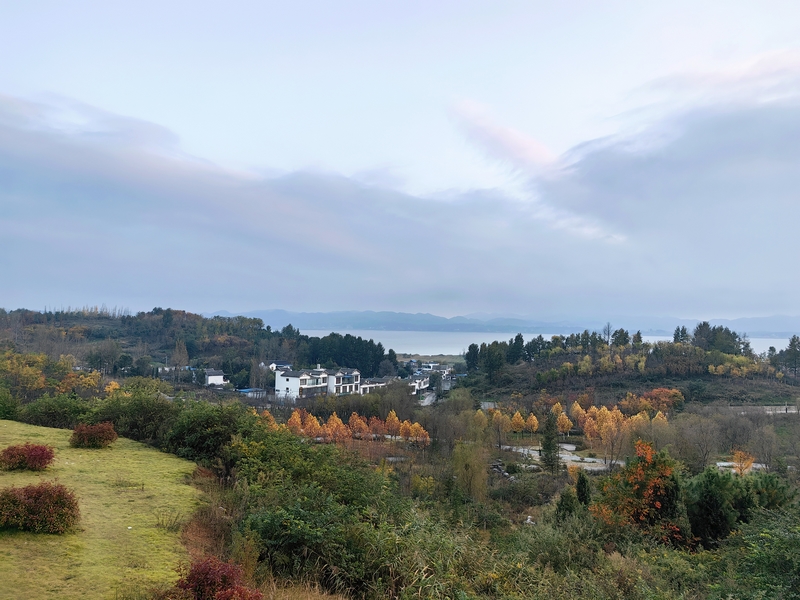 治理后的草海北坡煥然一新。